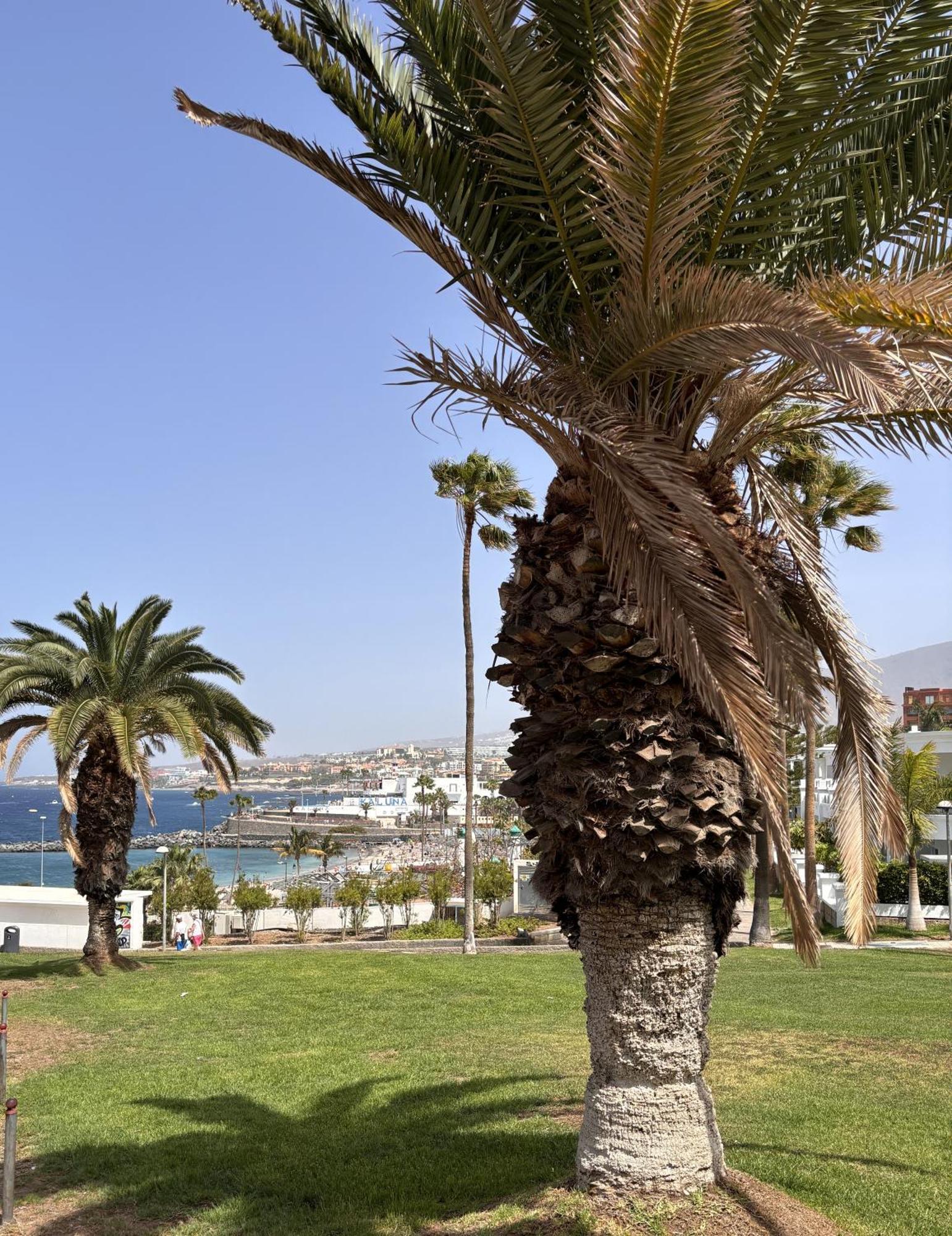 Ocean View Near The Beach Costa Adeje Luaran gambar